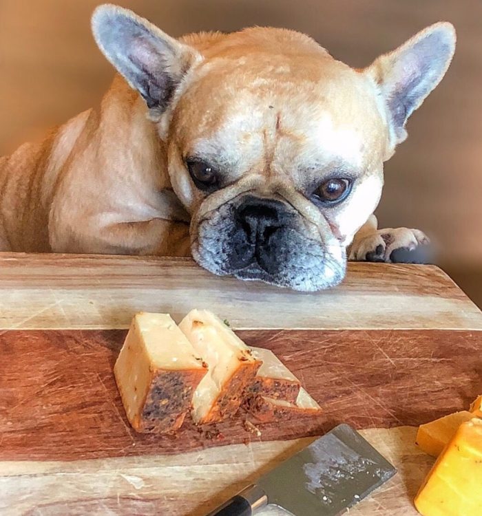 best 3 cheese for dogs